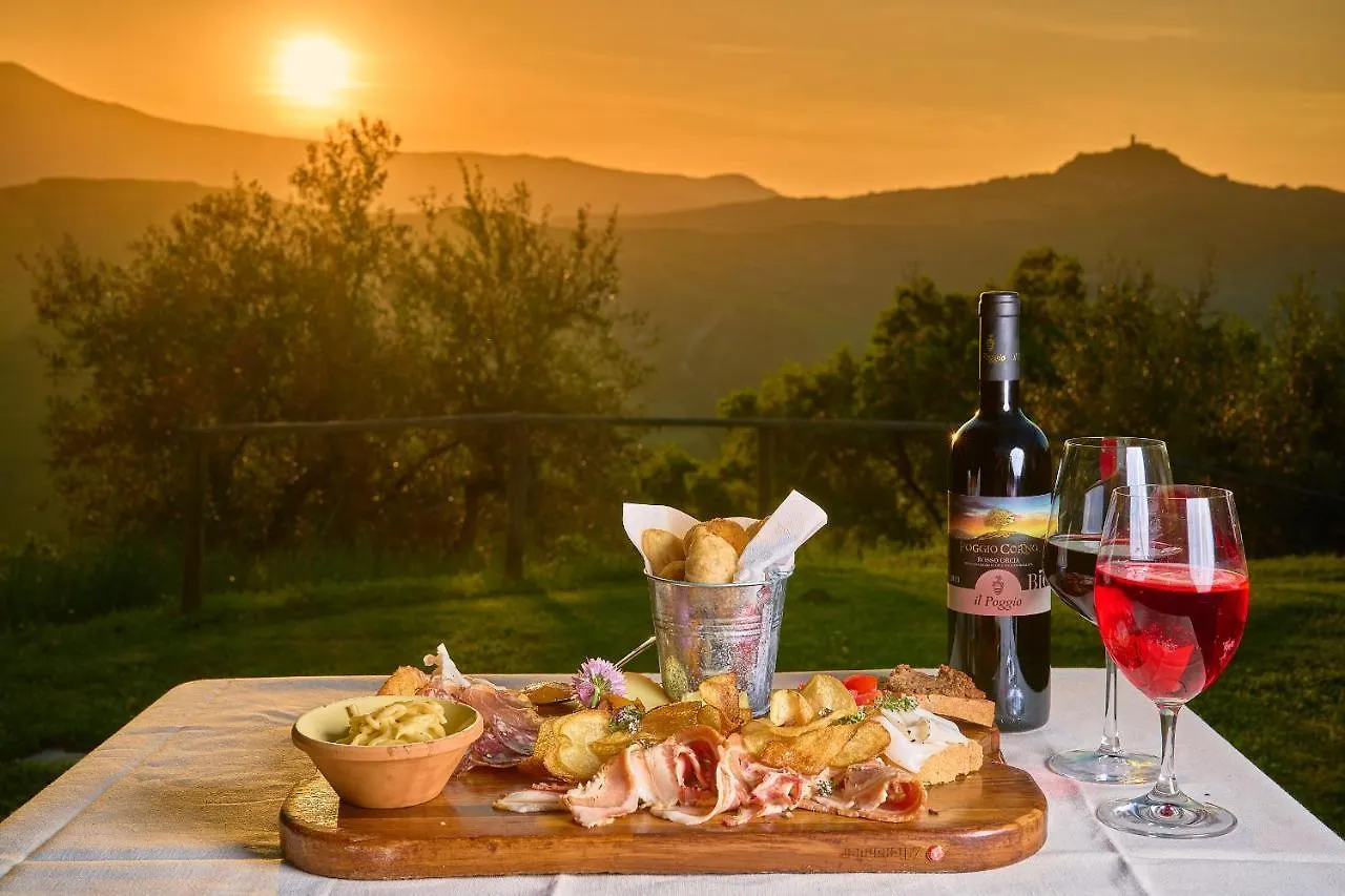 Il Poggio Guest House Celle sul Rigo Italy