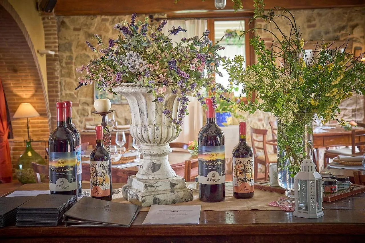 Country house Il Poggio Guest House Celle sul Rigo