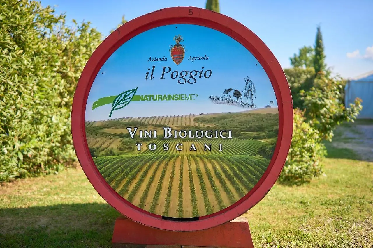 Il Poggio Guest House Celle sul Rigo Country house