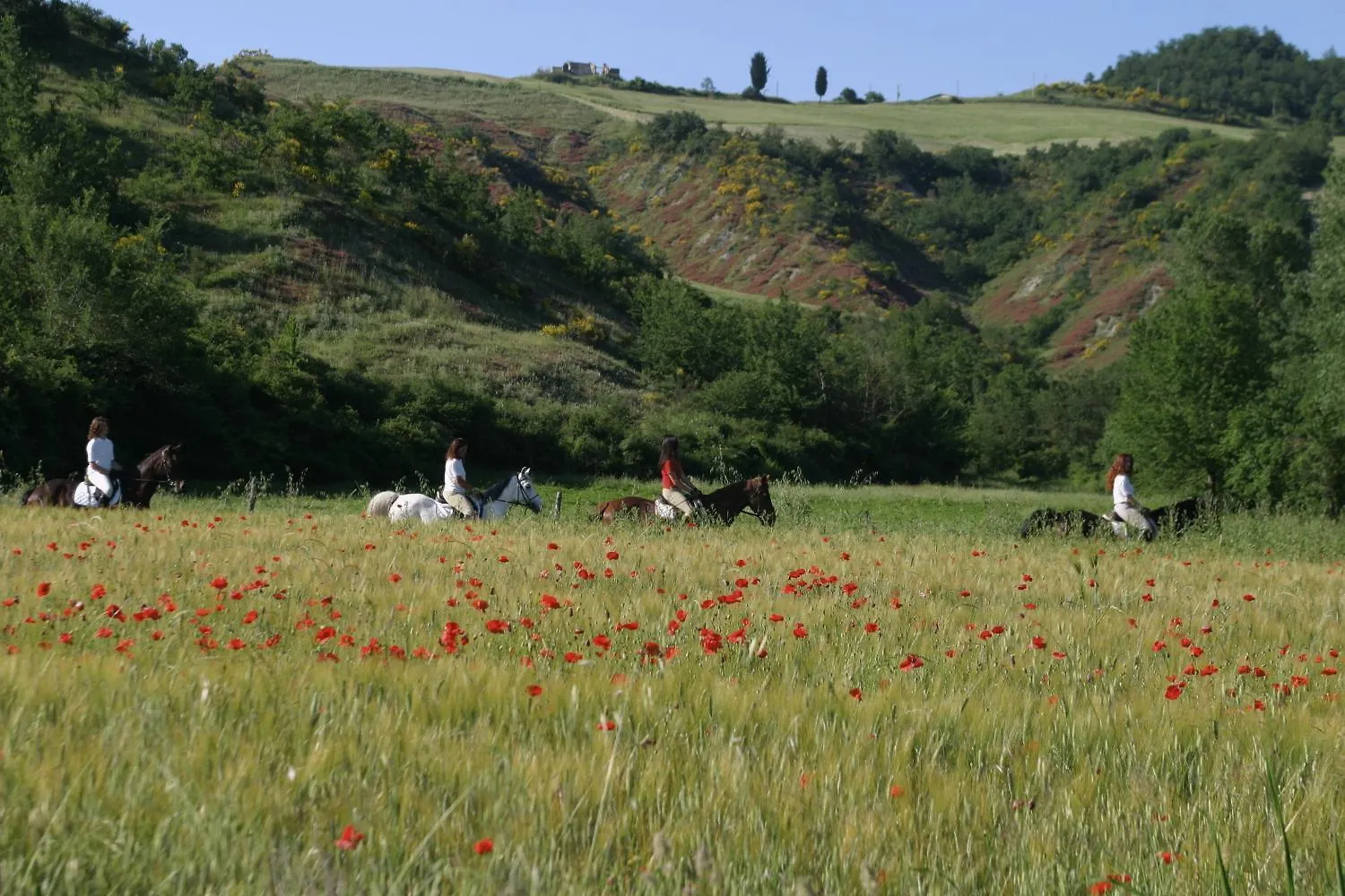 Country house Il Poggio Guest House Celle sul Rigo